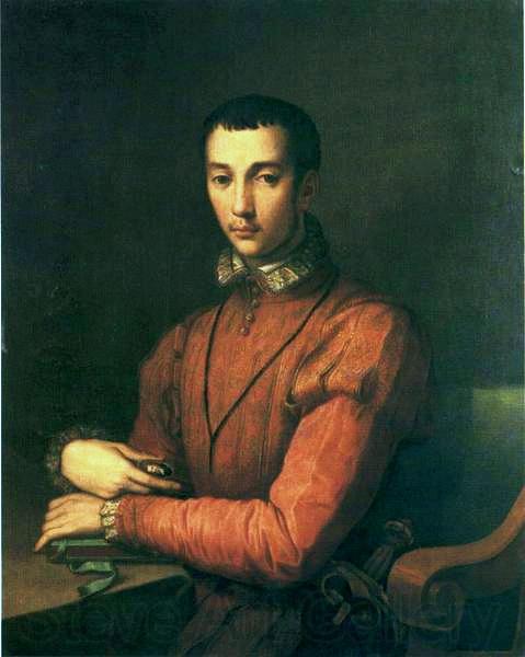Alessandro Allori Portrait of Francesco de' Medici. Germany oil painting art
